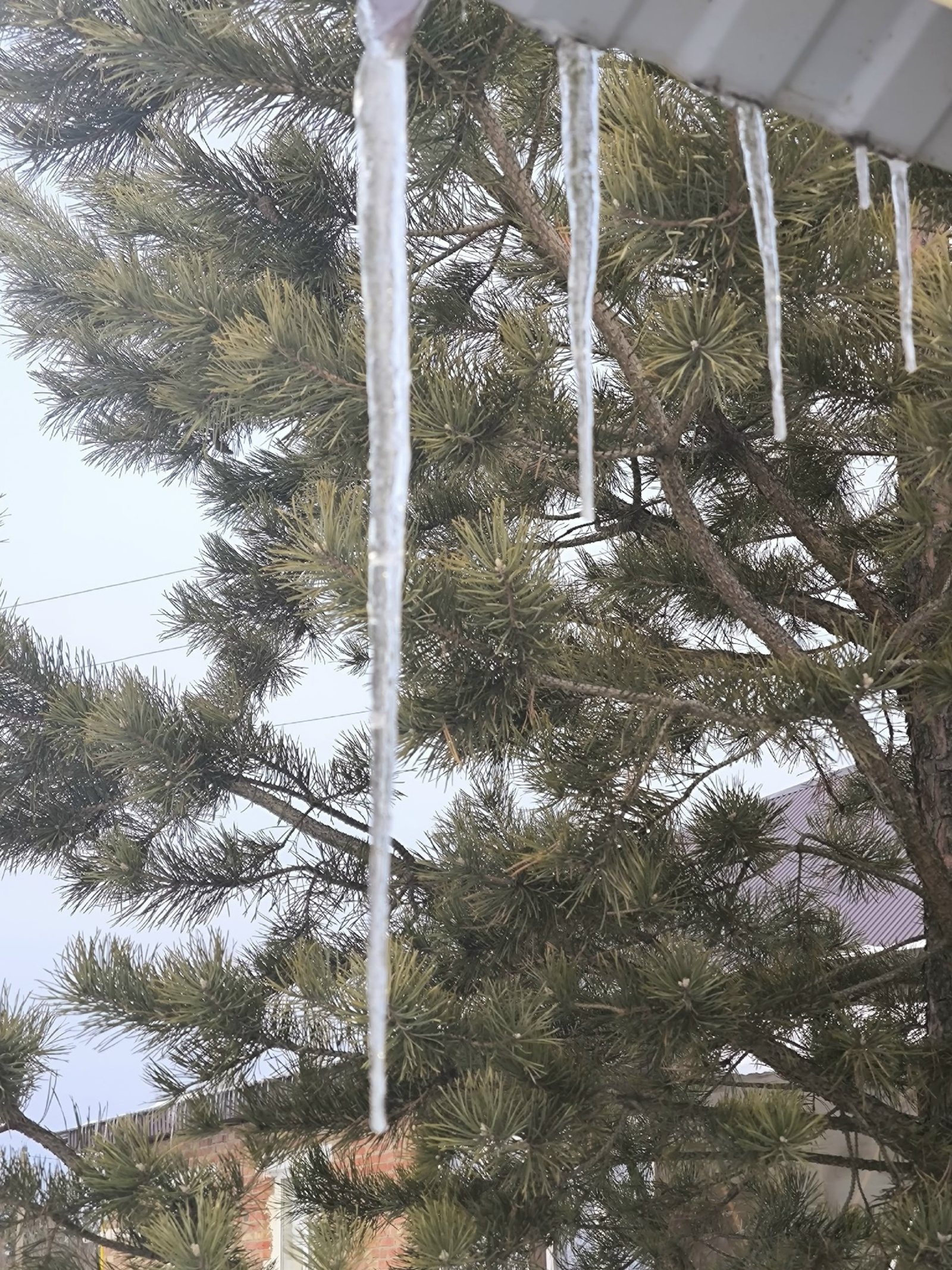 По данным Башгидромета..