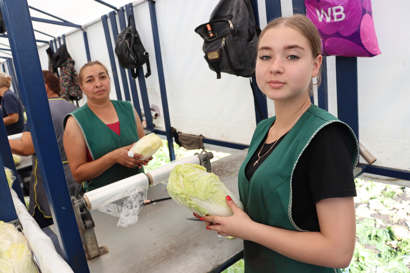 Современные технологии для свежей зелени на вашем столе
