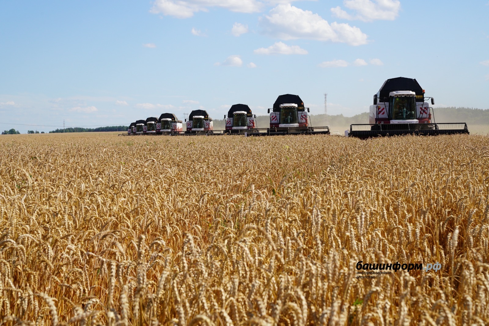 Урожай в 4 млн тонн зерна должен быть для нас рядовым событием - Глава Башкирии