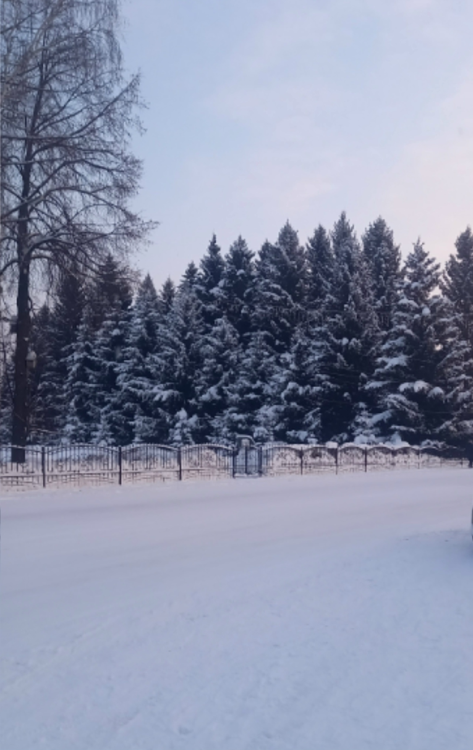 О погоде на завтра