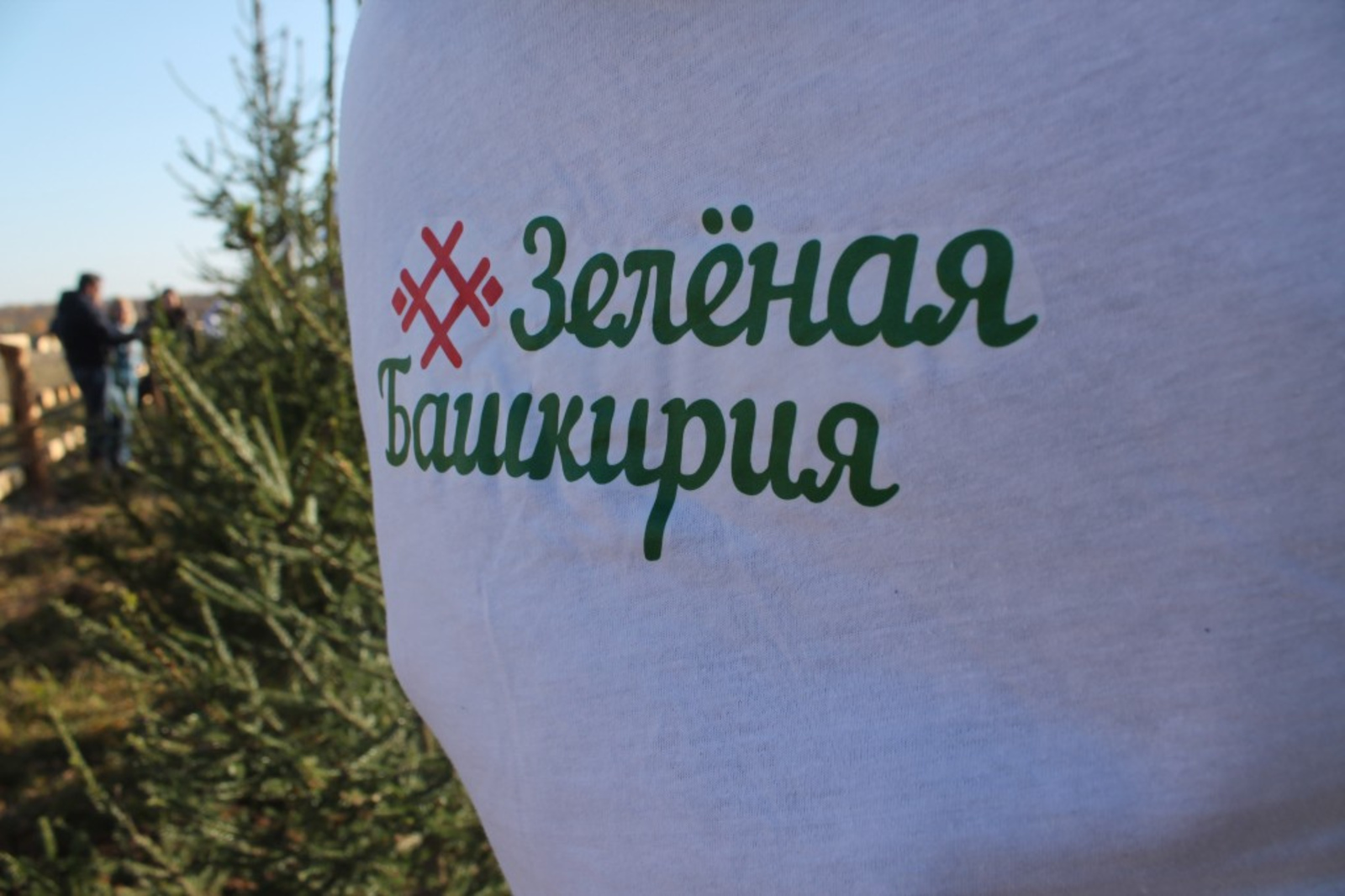 24 сентября в республике стартует акция «Зеленая Башкирия»