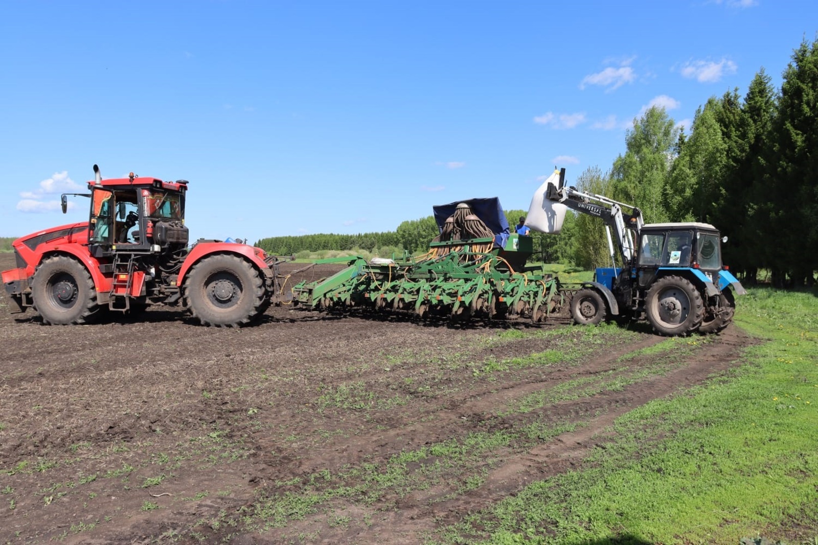 «Свои семена – это практично, экономно»