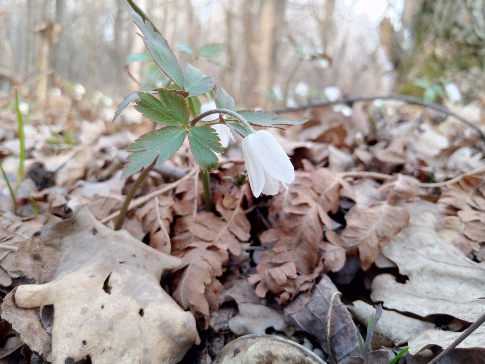 Башкортостан сегодня