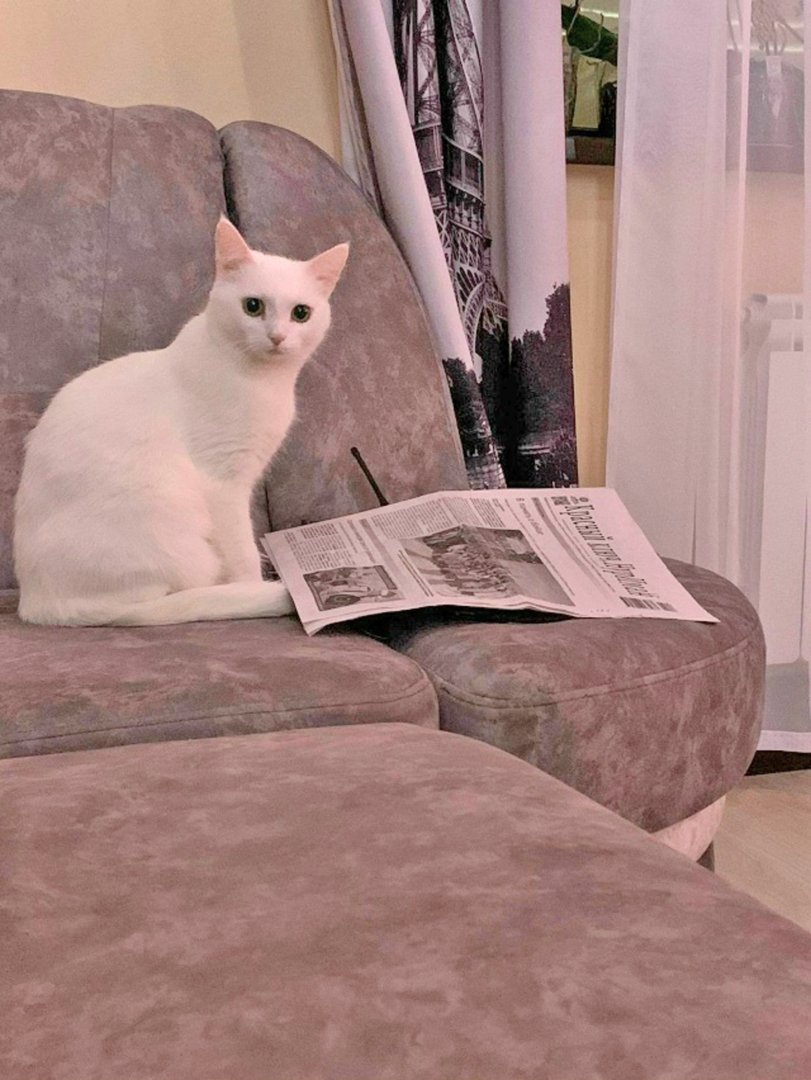 Подписаться досрочно - это выгодно!