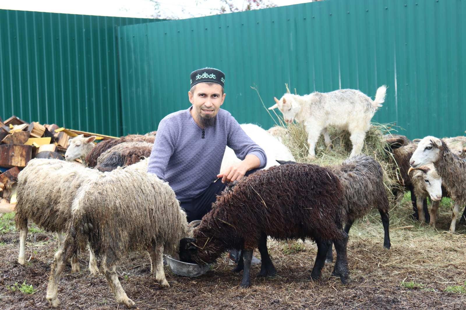 От мечты к реальности с помощью АСПК