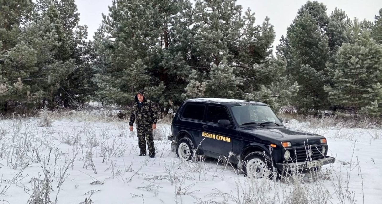 Стартовала операция «Ель-2025»