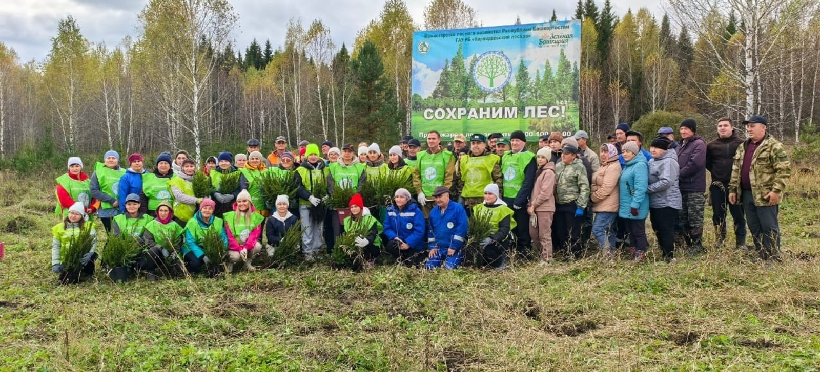 Жители Башкирии стали самыми активными участниками акции «Сохраним лес» в России