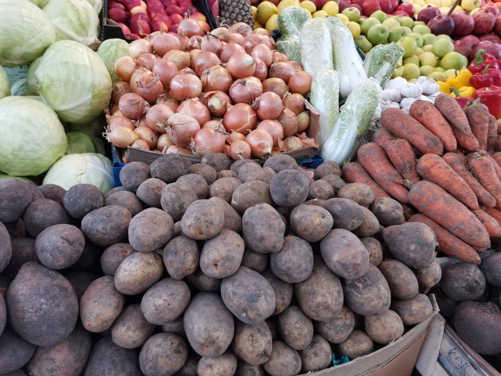 Как правильно инвестировать в картошку: советы огородникам