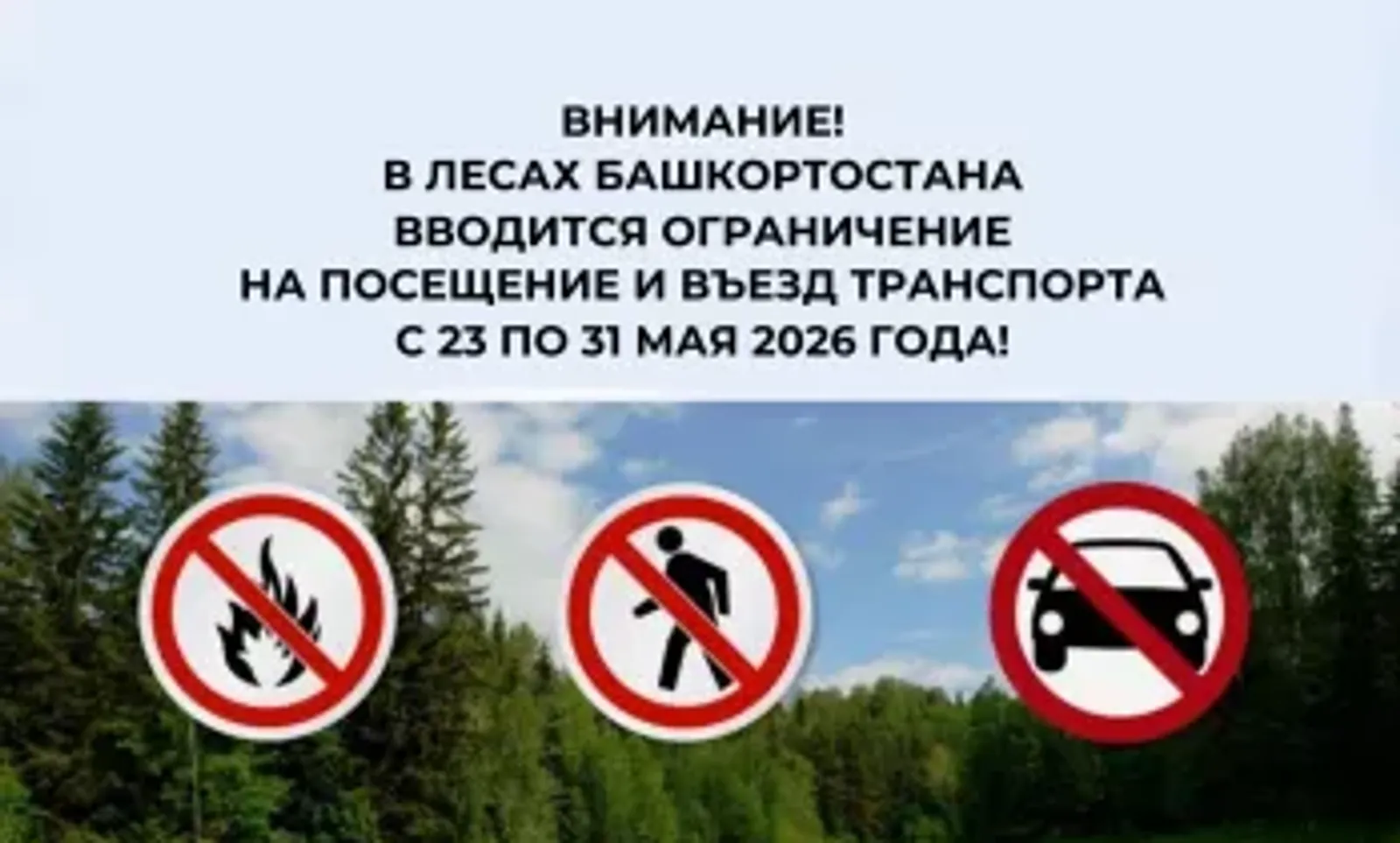 Временный запрет на посещение лесов Башкирии