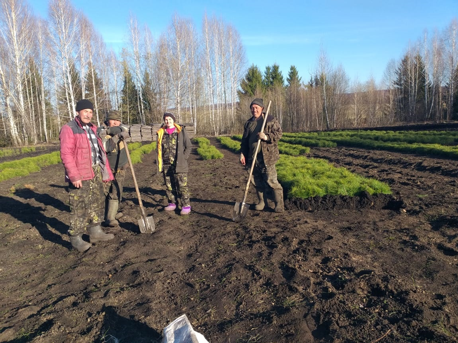 Нуримановский лесхоз готовится к акциям «Зеленая Башкирия» и «Сад памяти»