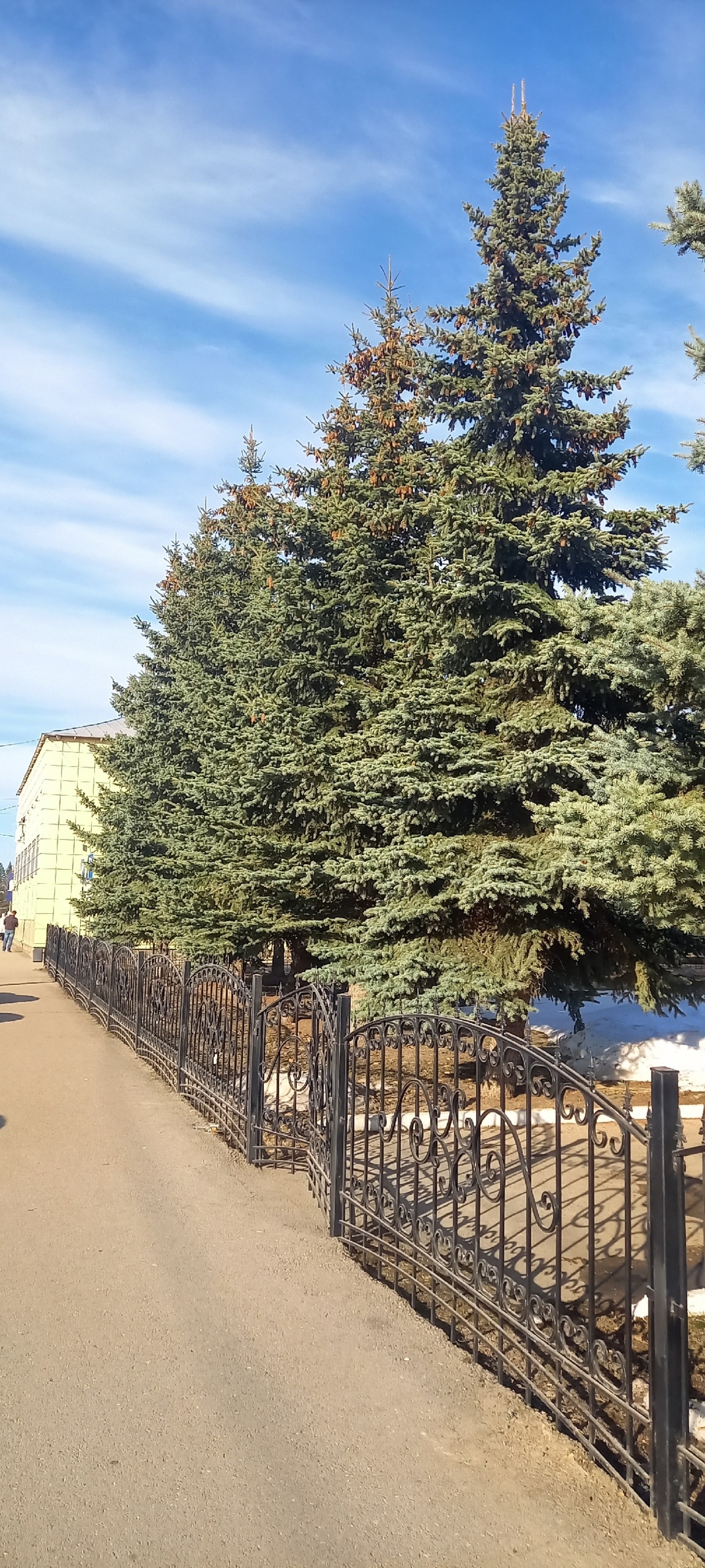 Синоптики о завтрашнем дне