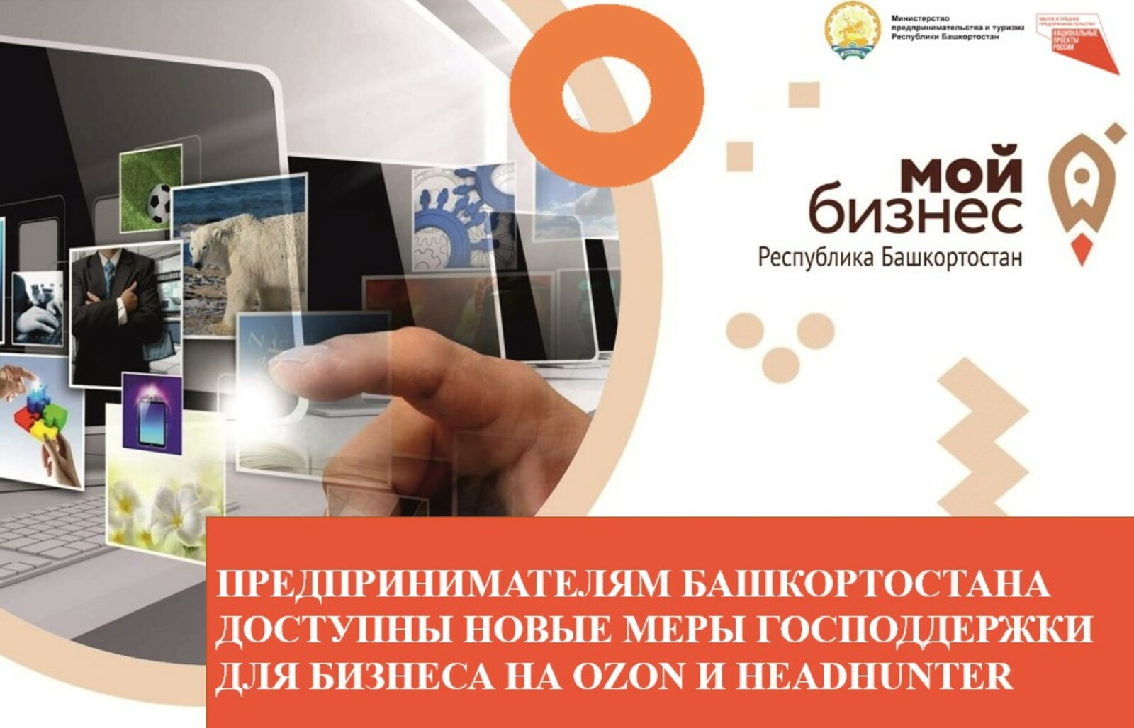 Предпринимателям Башкортостана доступны новые меры господдержки для бизнеса на Ozon и HeadHunter