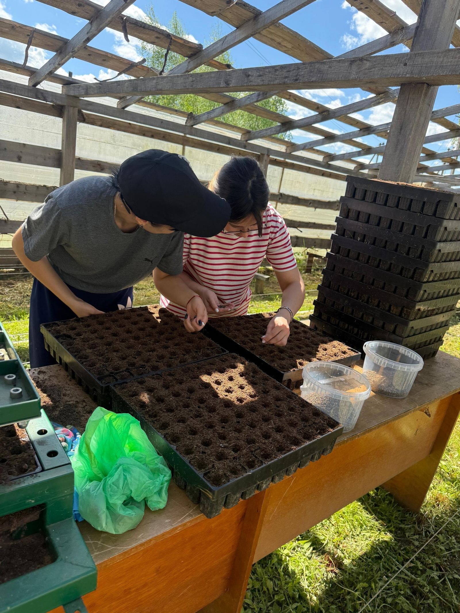 Весенние работы по лесовосстановлению в Нуримановском лесхозе