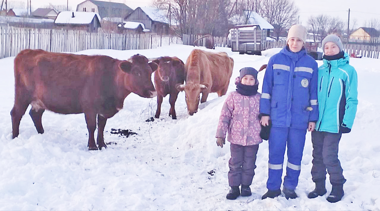 Своя еда – вкусная и полезная