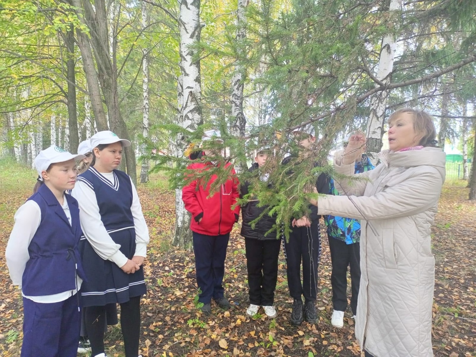 Российские дни леса