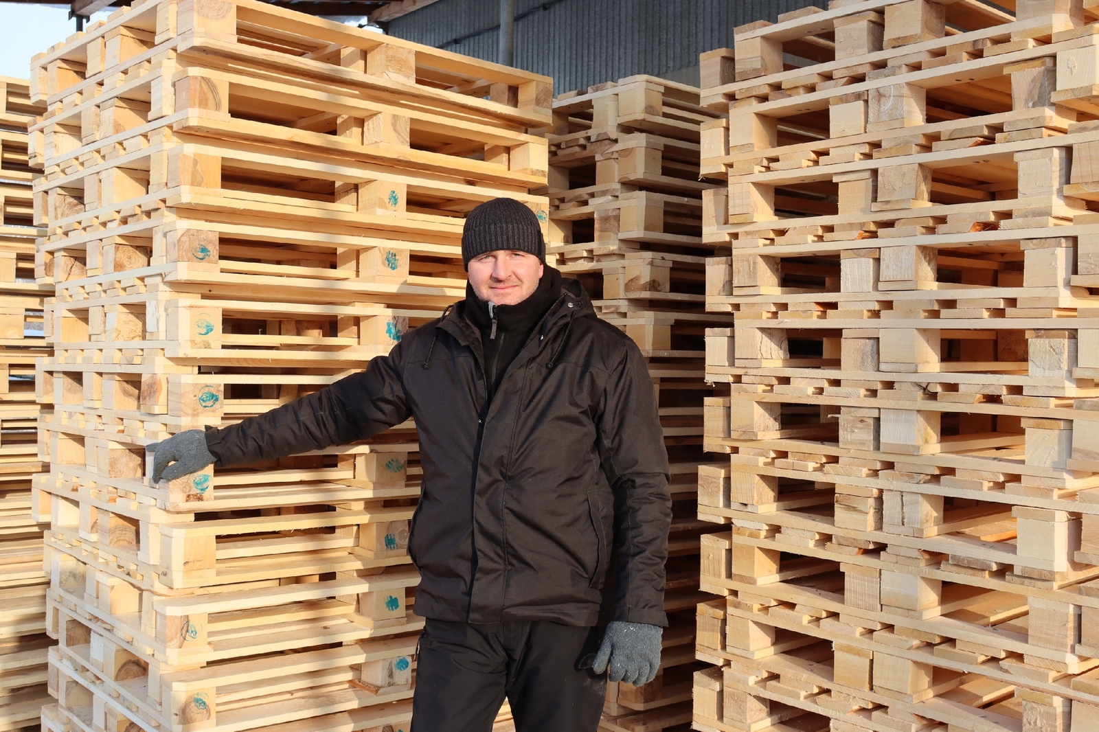 Древесный успех индивидуального предпринимателя