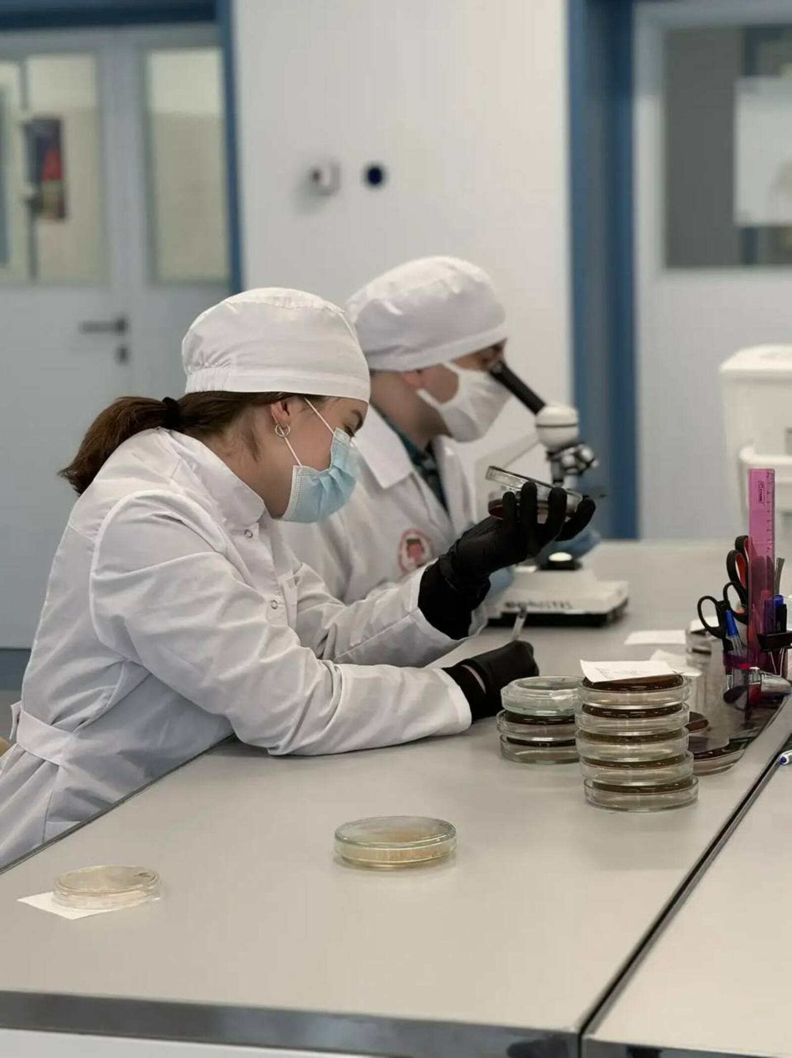 Тест-система для быстрого поиска «бактерии стройности» у человека