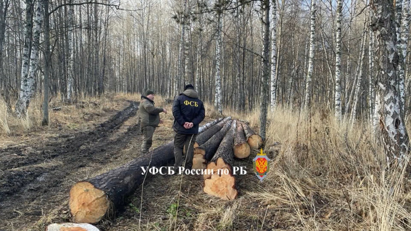 В Башкирии задержали мужчину, «нарубившего дров» на полмиллиона рублей