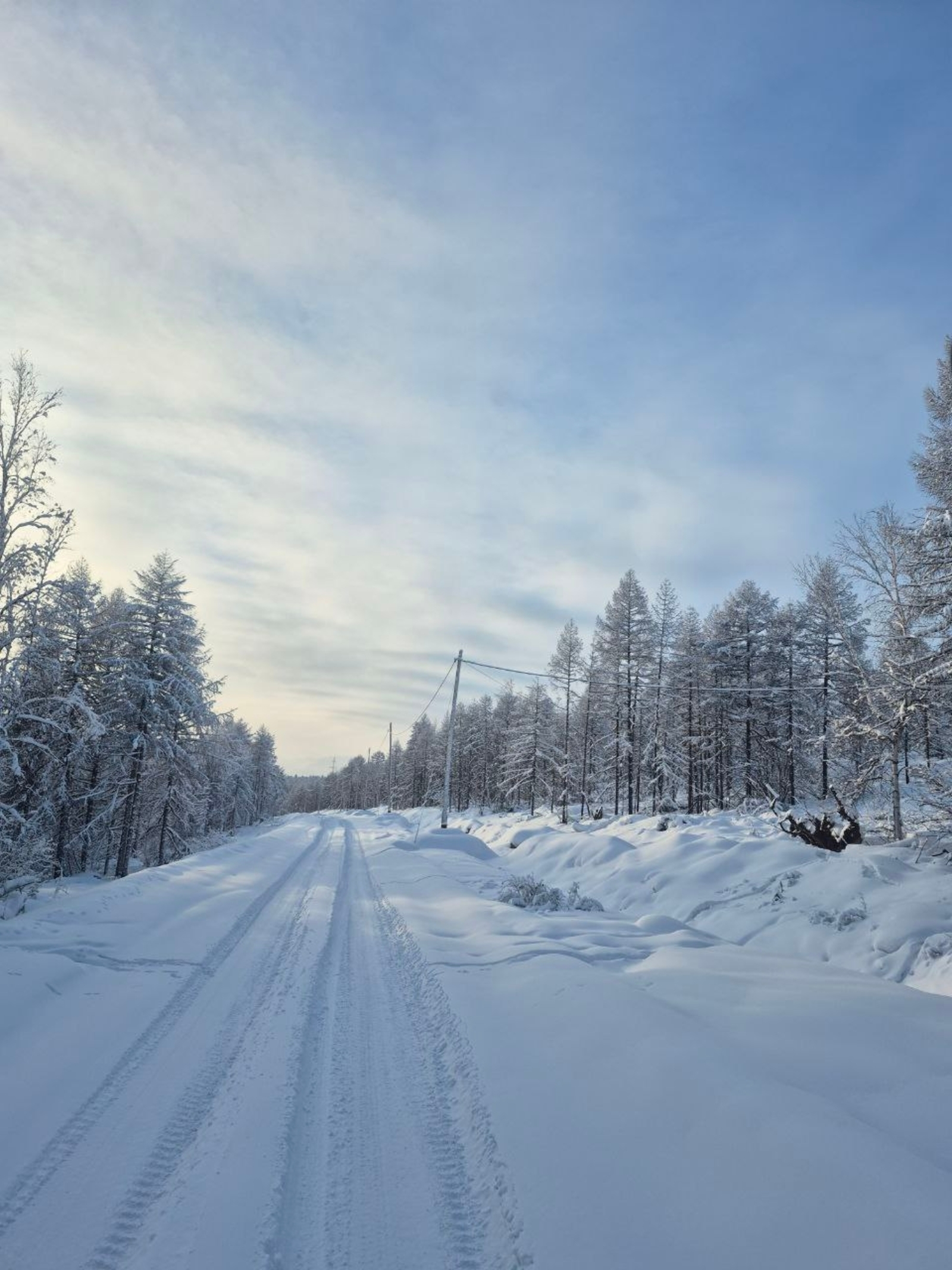 Метео-новости: погода на завтра