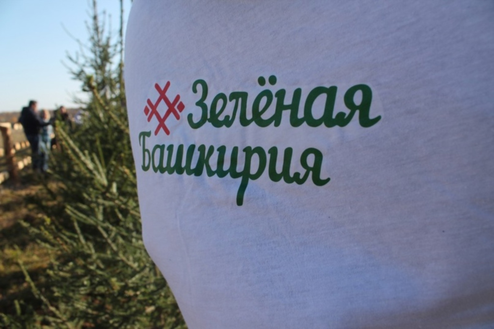 Стали известны дни проведения экоакции "Зеленая Башкирия"