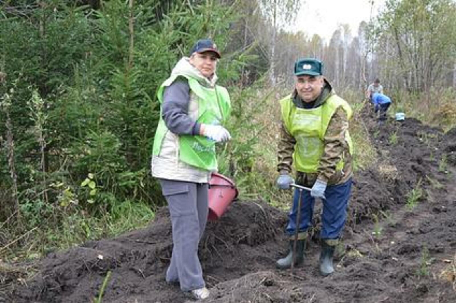 В 2026 году лесоводы проведут лесовосстановление на площади 13 тысяч гектаров