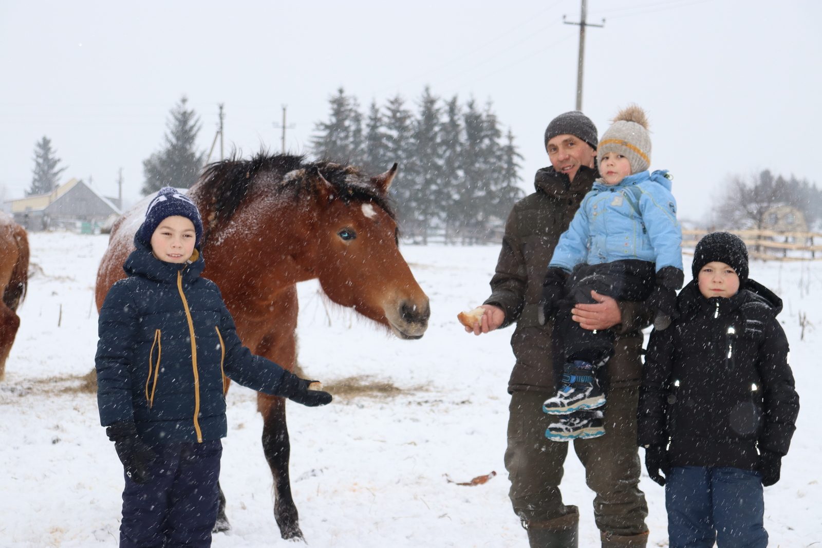 «Ход конем» в наступающий 2026 год Огненной Лошади