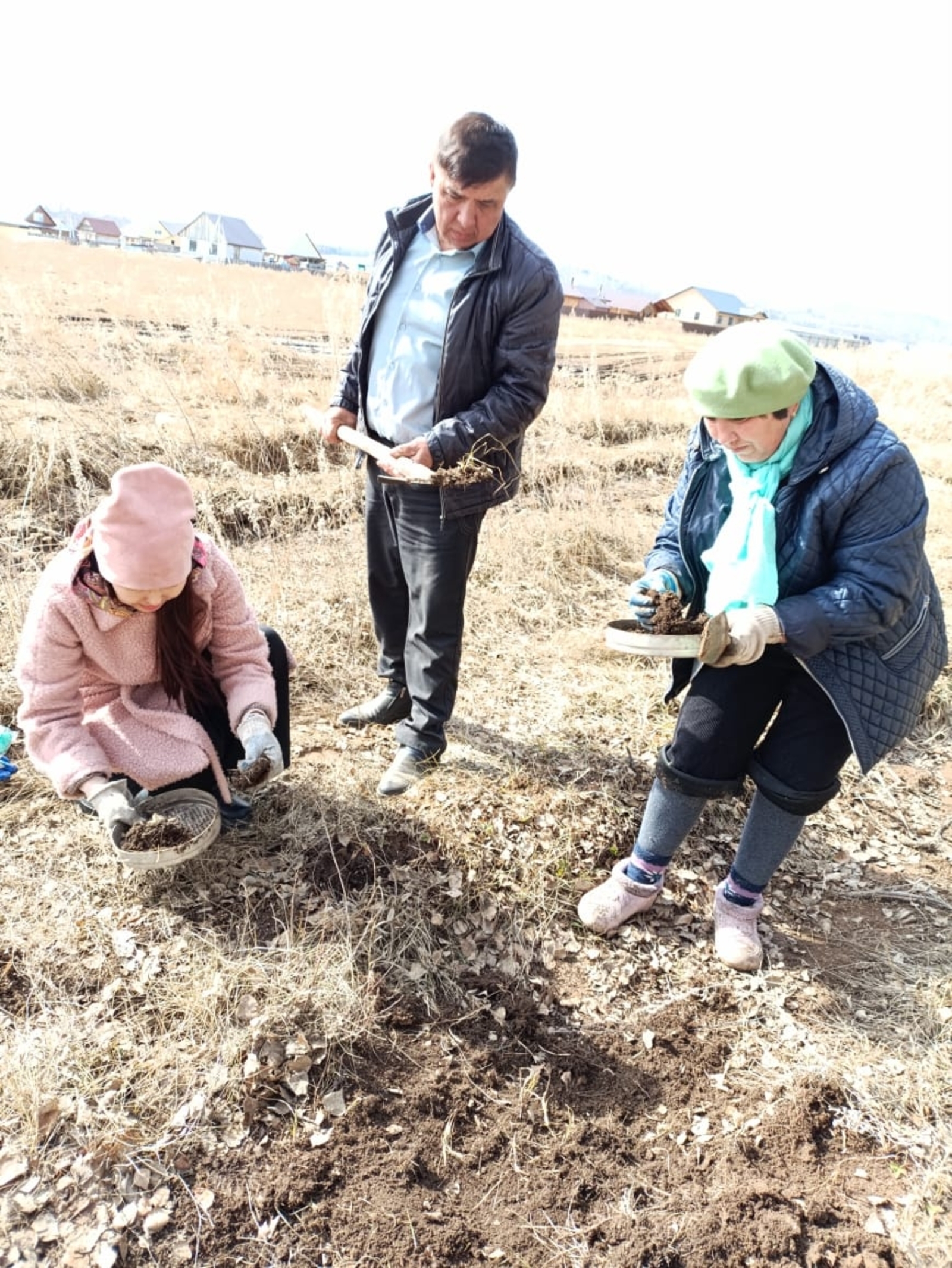 В Башкортостане завершены обследования зимующего запаса саранчовых вредителей