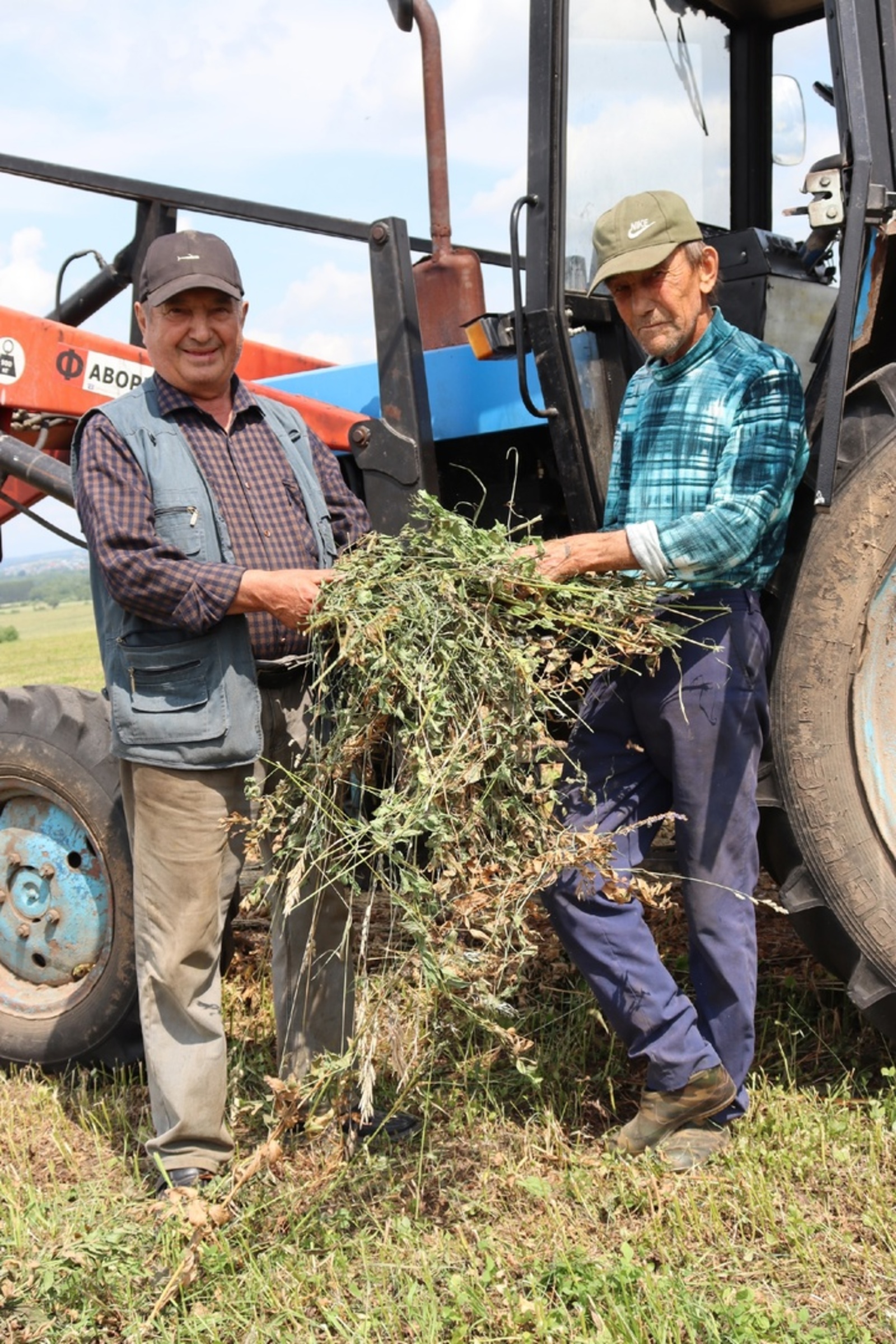 Лето кормит зиму